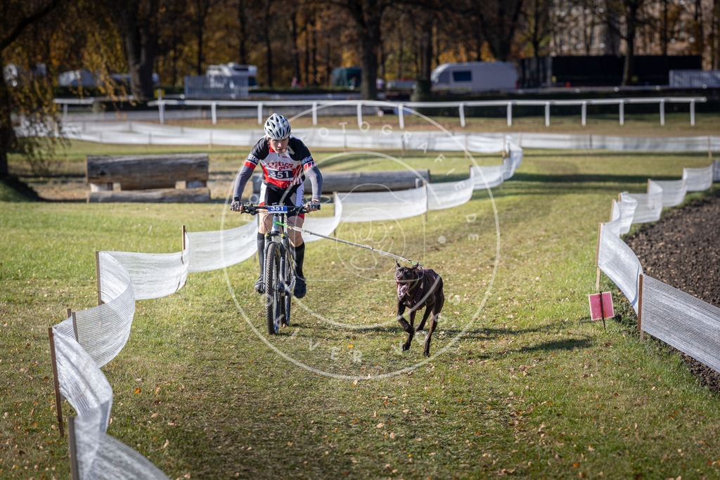 CaniXpix_DV3A7152 | Hundefotografie, Tierfotograf, Pfotenfotografie, Fotoshooting Hund, Hunde Portrait, Hundesport, Hundeportraits, Heideshooting, Hunde, Sportfotograf, Hundefotograf, Turnierhundsport, THS,  - Realisiert mit Pictrs.com