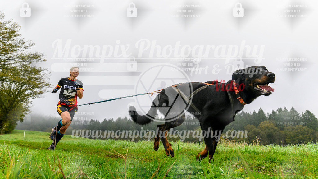 MompixPhotography_20TSB_E5_Run-85 | PayLife