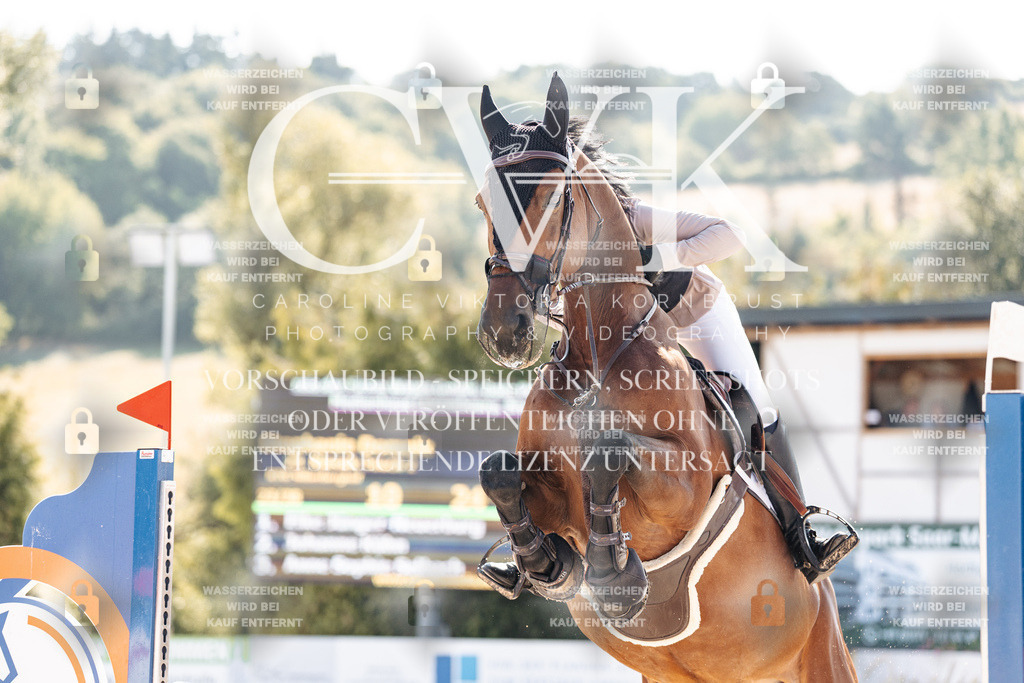 CK902226 | Turnierfotografie Pferdefotografie Trier Rheinland-Pfalz Pferdesport Reitsport Tierfotografie Sportfotografie Pferdevideo Pferdevideografie Equestrianvideography equestrianphotography  - Realisiert mit Pictrs.com