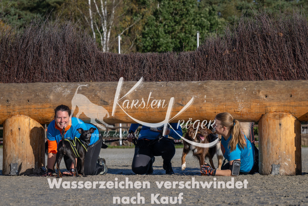 1043-_ZZ92189 | kk-dogfotos