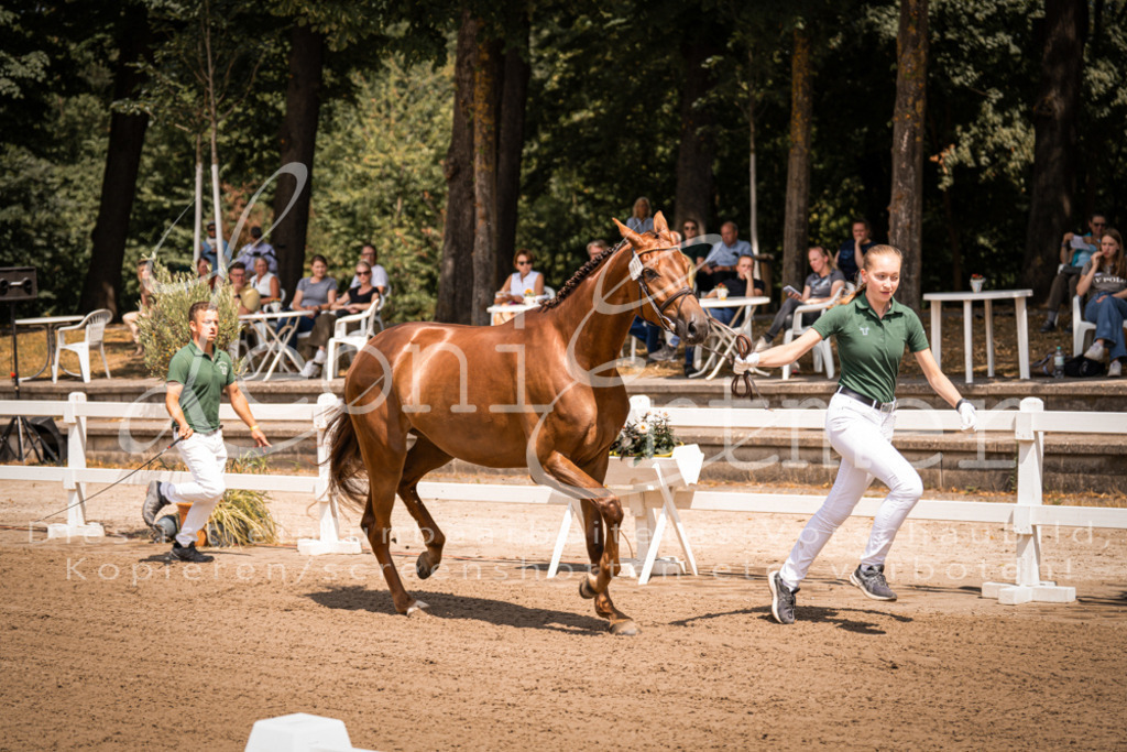 1.Fr00035 | Leoni Ertmer Photography - Realisiert mit Pictrs.com