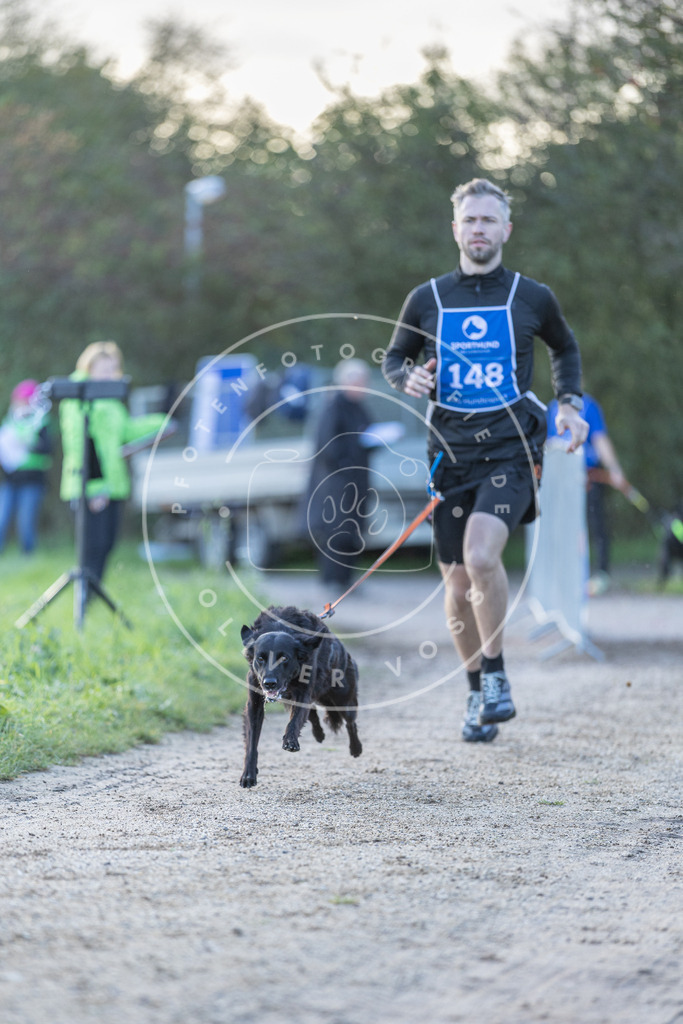 Pfotenfotografie.de_DV3A2834 | Hundefotografie, Tierfotograf, Pfotenfotografie, Fotoshooting Hund, Hunde Portrait, Hundesport, Hundeportraits, Heideshooting, Hunde, Sportfotograf, Hundefotograf, Turnierhundsport, THS, canicross - Realisiert mit Pictrs.com