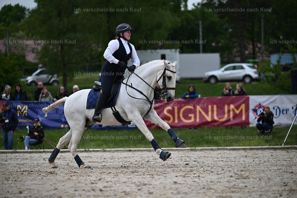 PI26_SP_Sara_Landvogt_226_4766.JPG | working equitationturnier fotograf videograf stoibphotography marixx film working equitation deutschland reitsport turnierfotografie eventfotografie equestrian events