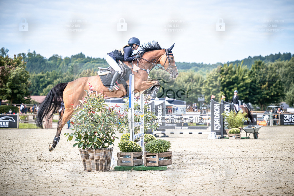 DOS_9345 | Entdecke hochwertige Reitturnierfotos von Foto Oger. Professionell, emotional und authentisch – jetzt Lieblingsmomente im Shop bestellen. - Realisiert mit Pictrs.com