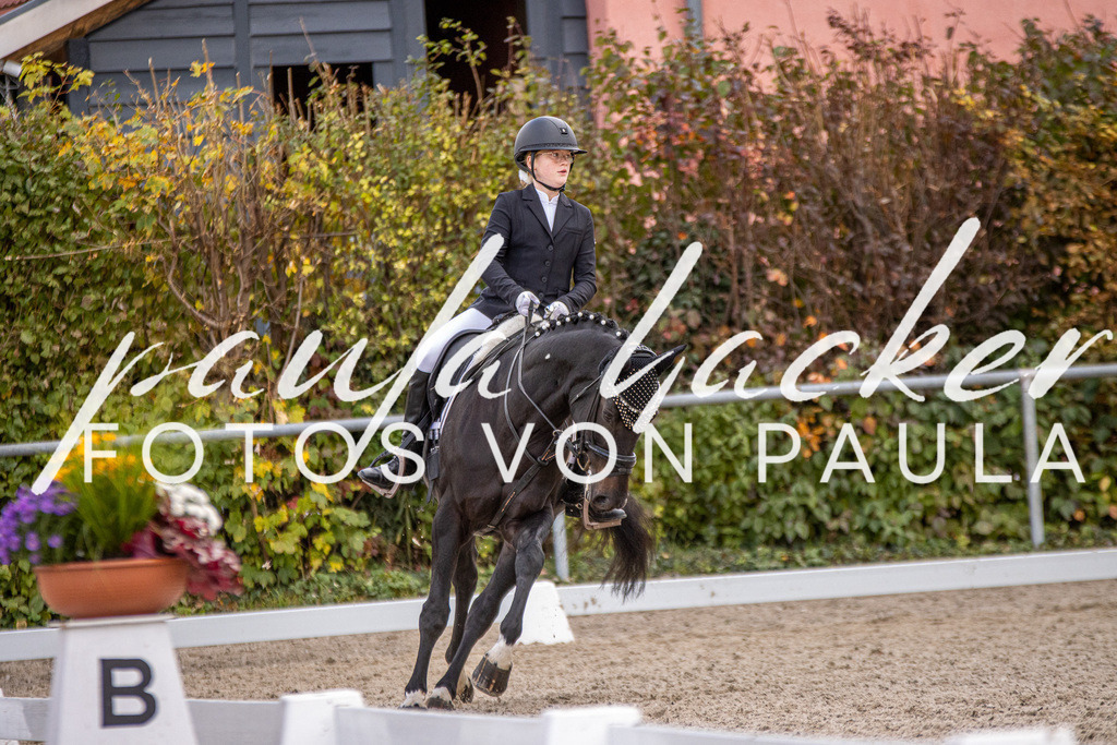 IMG_3697 | Erleben Sie dynamische Sport- und emotionale Tierfotografie in Süddeutschland mit Fotos von Paula. Spezialisiert auf Pferde- und Hundefotografie sowie Sportevents. Kontaktieren Sie mich für einzigartige und ausdrucksstarke Bilder Ihrer besonderen Momente. - Realisiert mit Pictrs.com