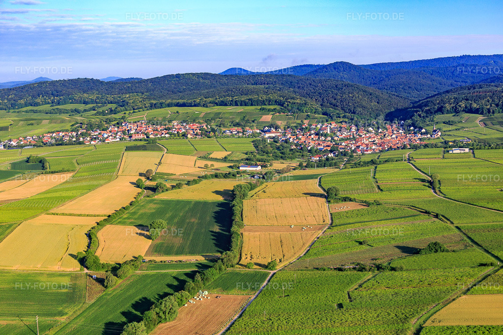 Luftbild: Winzerdorfansicht vom Rußbachtal aus Osten im Ortsteil Rechtenbach in Schweigen-Rechtenbach im Bundesland Rheinland-Pfalz in Deutschland. Foto: IMG_089927.jpg vom 26.06.2016 durch Werner Riehm/FLY-FOTO.de