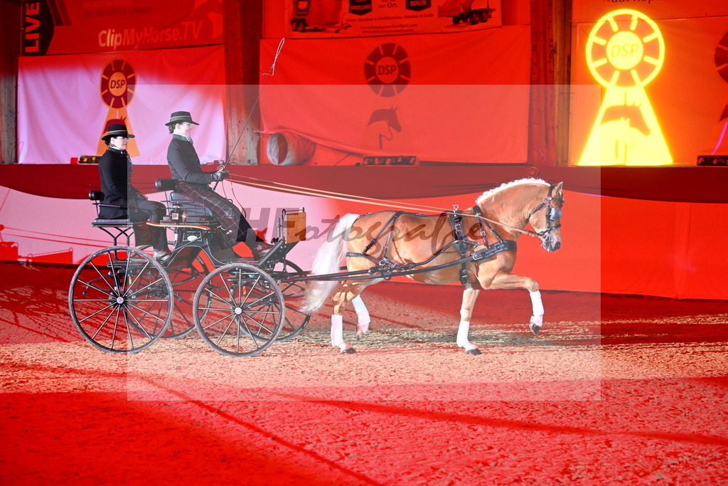 DSP_Avici_As_Karosser_2254526 | hf-fotografie - Realizzato con Pictrs.com