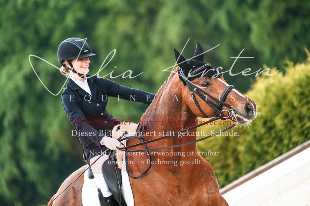 DSC_4262 | Pferde- und Turnierfotografie in Westsachsen. Pferdeportraits, Auftragszeichnungen und intuitive Kunst.