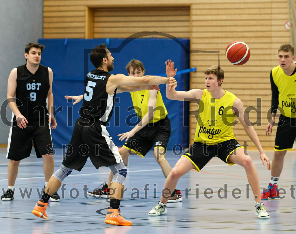 2022-12-04_053_SG_Poing_gegen_TSV_Muenchen_Ost_4 | Poing, Deutschland, 04.12.2022:
Basketball, Bezirksklasse 2021 / 2022, 8. Spieltag, SG Poing gegen TSV München Ost 4, Endergebnis: 37:65

Foto: Christian Riedel / fotografie-riedel.net