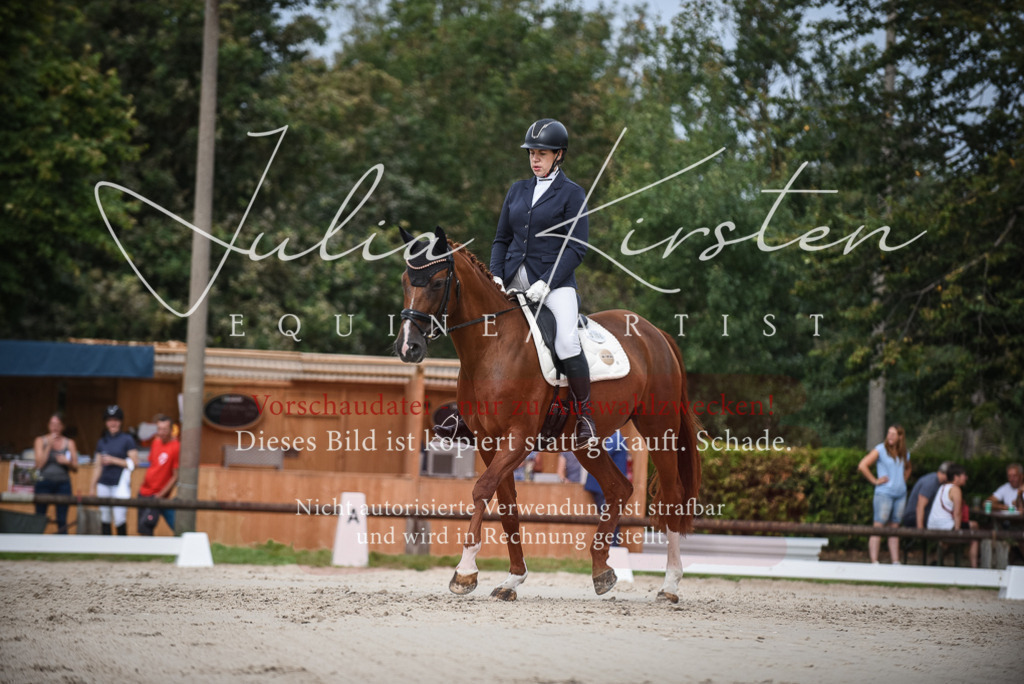 DSC_8358 | Pferde- und Turnierfotografie in Westsachsen. Pferdeportraits, Auftragszeichnungen und intuitive Kunst.