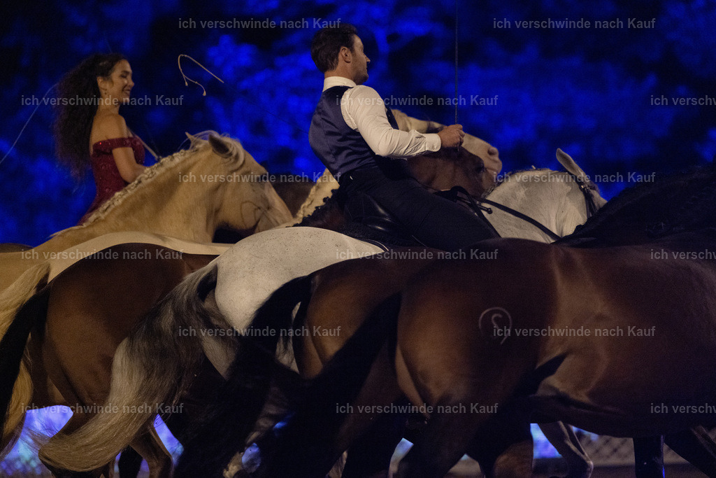 FHClassics-342 | working equitationturnier fotograf videograf stoibphotography marixx film working equitation deutschland reitsport turnierfotografie eventfotografie equestrian events