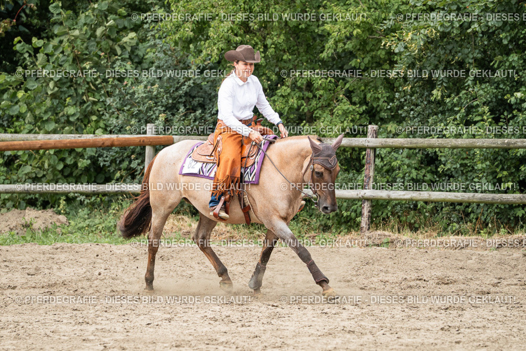 DSC02496 | Pferdegrafie