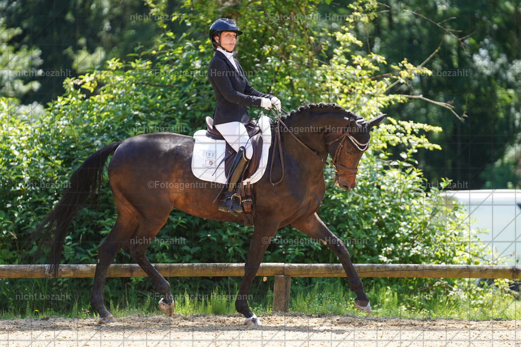 20240705-FAH04110 | Turnierbilder von Grafing, Reitsportbilder, Turnierfotos, Turnierfotografen Bayern, Pferdefotograf, Fotoagentur Herrmann