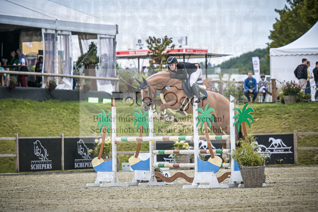DOS_1951 | Entdecke hochwertige Reitturnierfotos von Foto Oger. Professionell, emotional und authentisch – jetzt Lieblingsmomente im Shop bestellen.Deutschlandweite Turnierfotografie. - Realisiert mit Pictrs.com