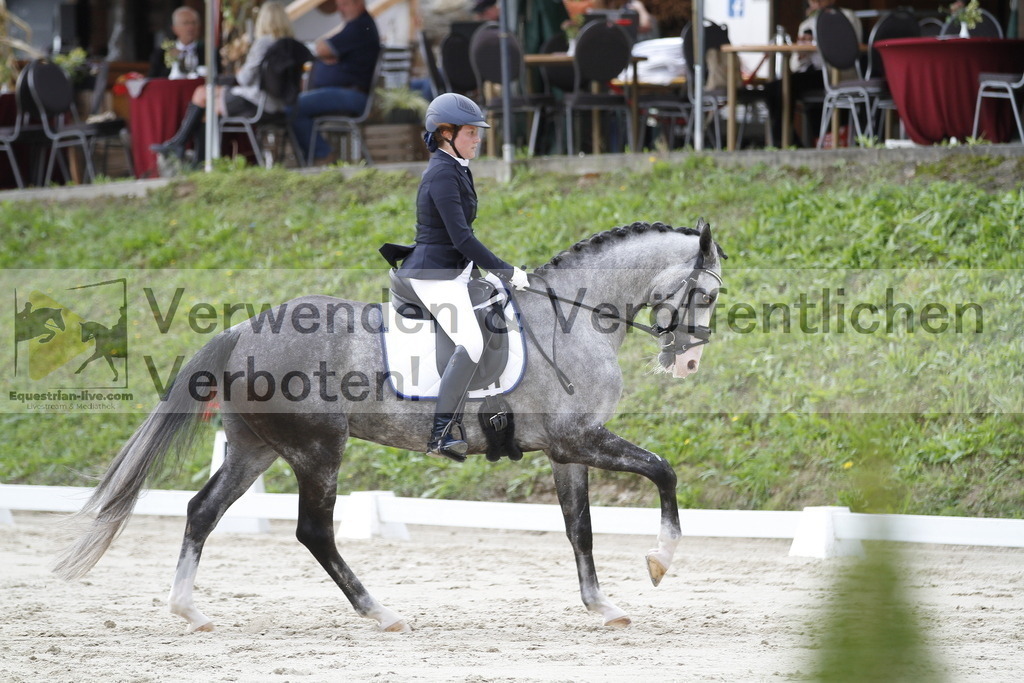 _MG_4441 | equestrian-live-com