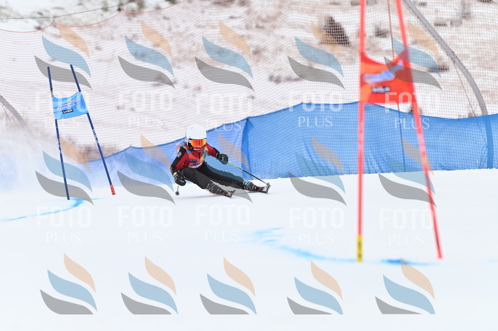 BGV_0022 | holidayphoto