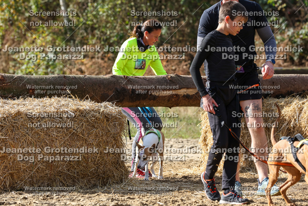 Dog Paparazzi - Strongdog 10-25-5479 | Dog Paparazzi Jeanette Grottendiek Fotografie & Videografie - Realisiert mit Pictrs.com