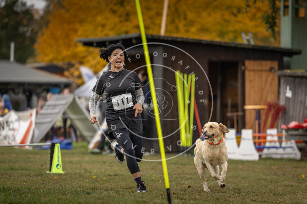 Pfotenfotografie_DV3A6789 | Hundefotografie, Tierfotograf, Pfotenfotografie, Fotoshooting Hund, Hunde Portrait, Hundesport, Hundeportraits, Heideshooting, Hunde, Sportfotograf, Hundefotograf, Turnierhundsport, THS,  - Realisiert mit Pictrs.com