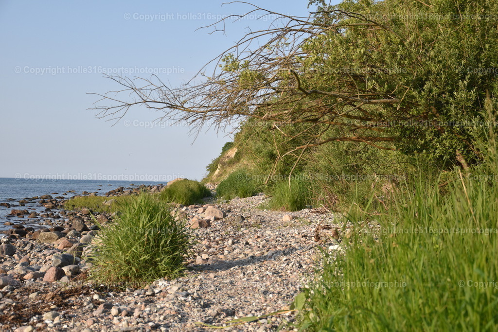 DSC_0033 | Sportfotografie , Motorsport, Motoross, Reitsport, Mointainbike, Enduro,
Landschaft , Outdoor, Eventfotografie, Landschaft, Bilder online bestellen - Realisiert mit Pictrs.com