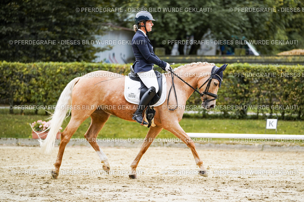 DSC09126 | Pferdegrafie