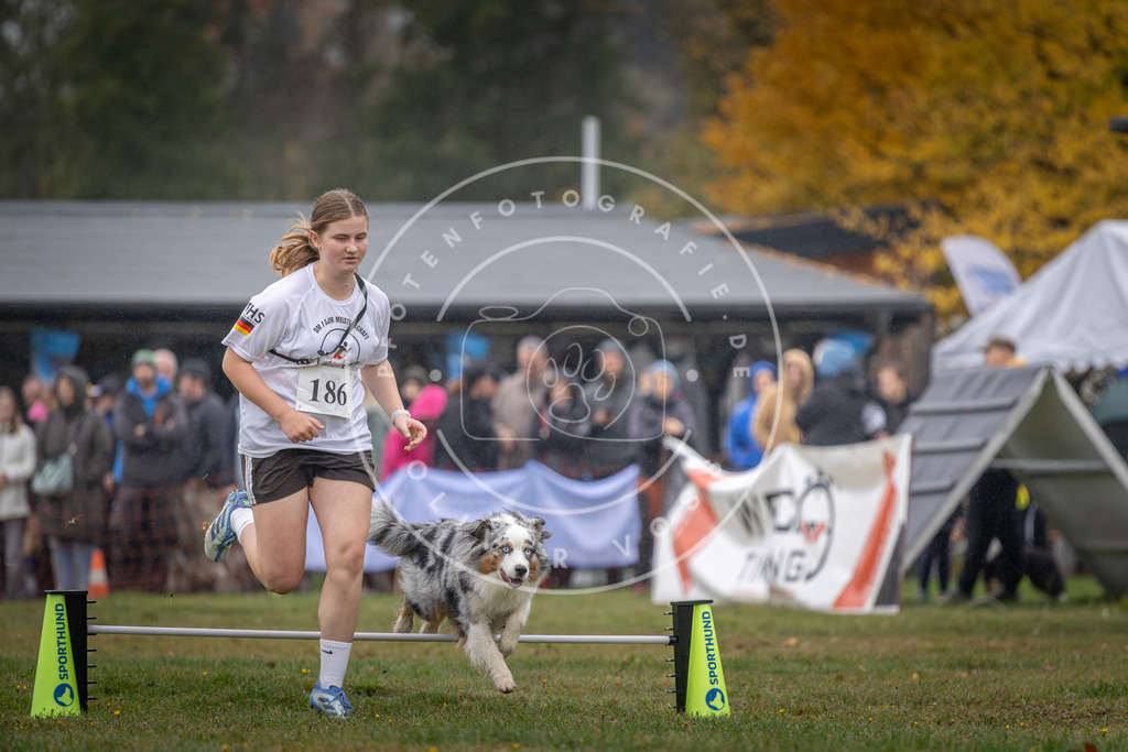 Pfotenfotografie_DV3A9772 | Hundefotografie, Tierfotograf, Pfotenfotografie, Fotoshooting Hund, Hunde Portrait, Hundesport, Hundeportraits, Heideshooting, Hunde, Sportfotograf, Hundefotograf, Turnierhundsport, THS,  - Realisiert mit Pictrs.com