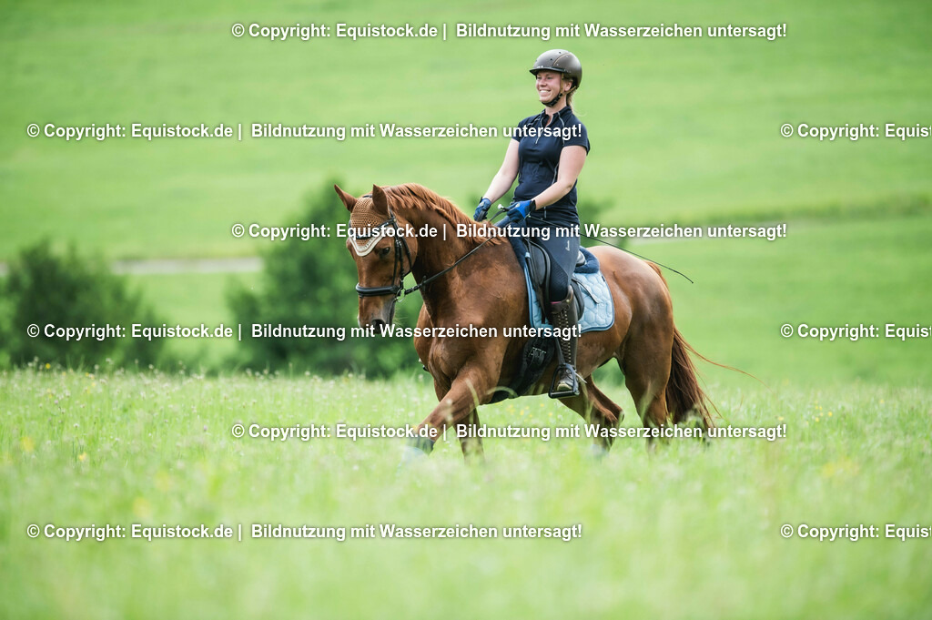 20210623_Reiten-auf-Wiese_0003 | Foto: Thomas Hartig