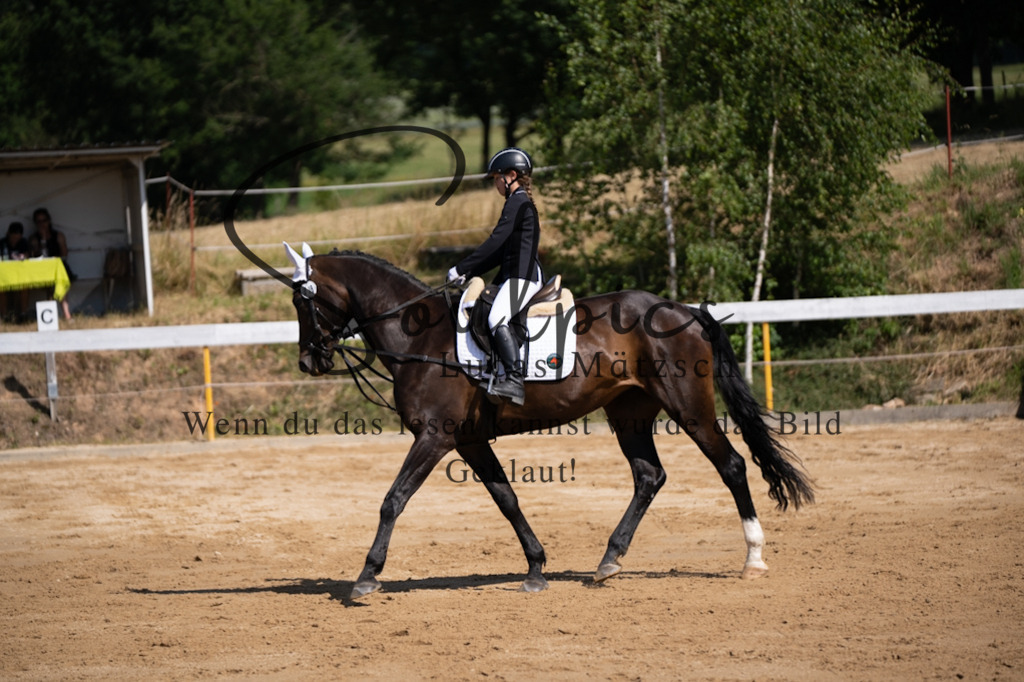 A7V07841 | Turnier/Reitfotograf