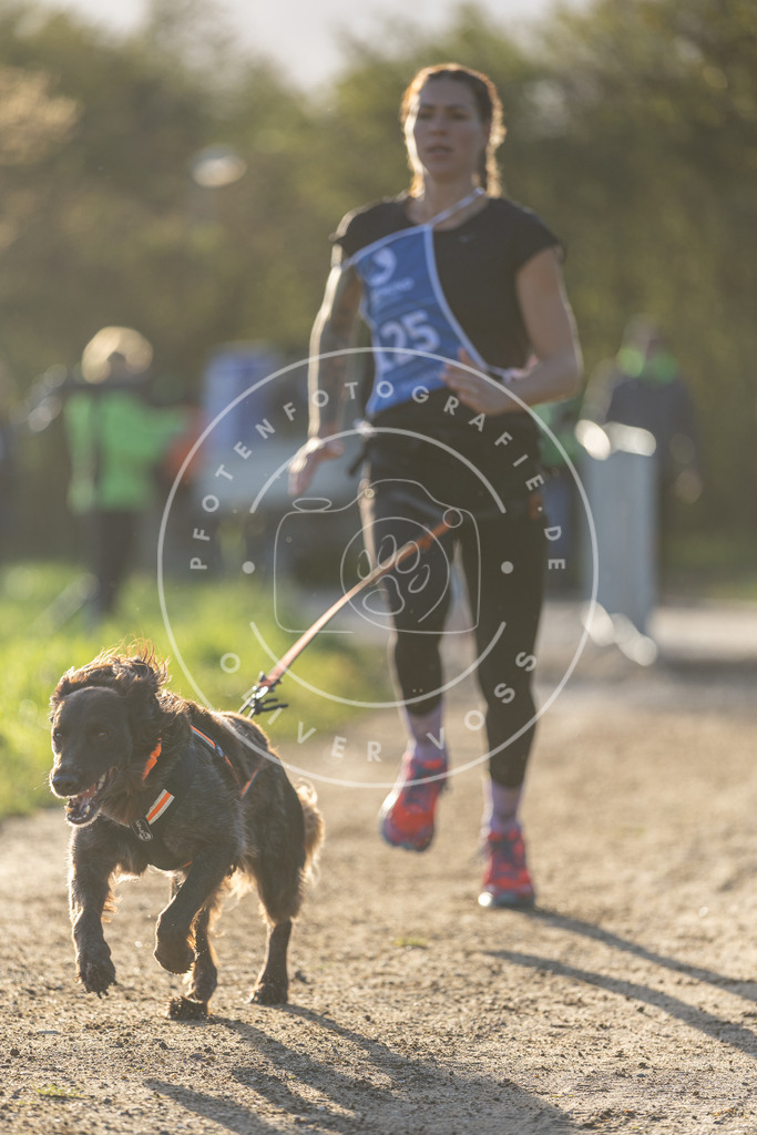 Pfotenfotografie.de_DV3A2975 | Hundefotografie, Tierfotograf, Pfotenfotografie, Fotoshooting Hund, Hunde Portrait, Hundesport, Hundeportraits, Heideshooting, Hunde, Sportfotograf, Hundefotograf, Turnierhundsport, THS, canicross - Realisiert mit Pictrs.com
