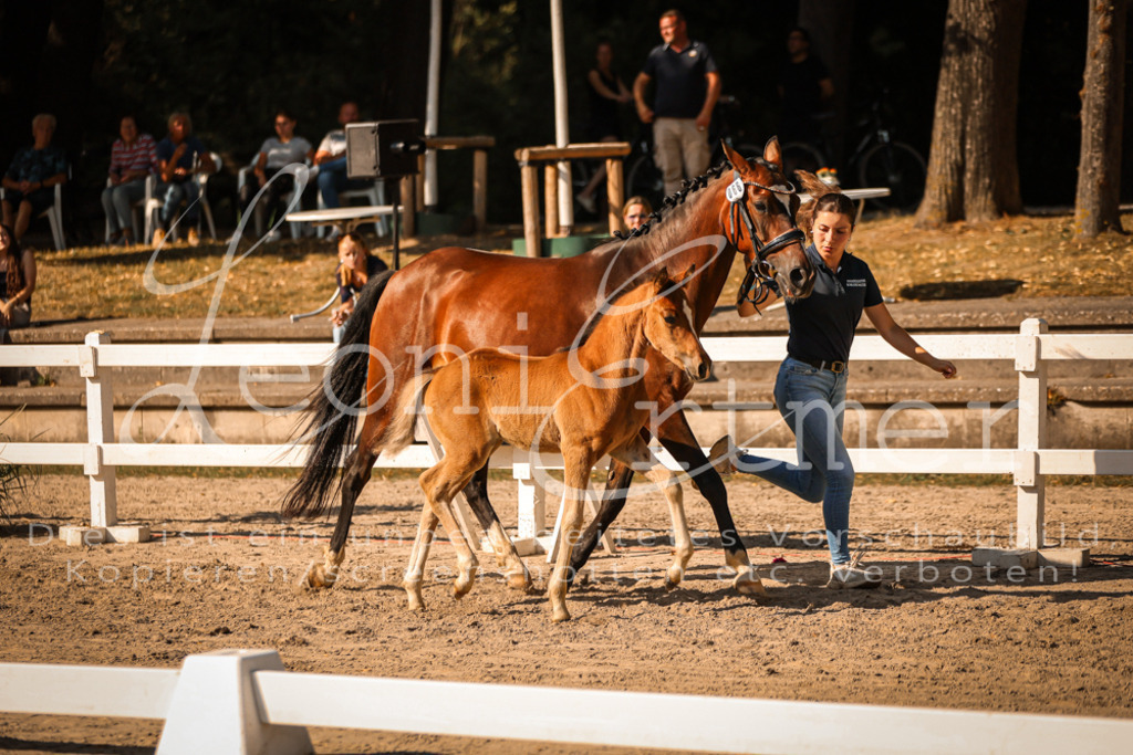 11.DoRP00162 | Leoni Ertmer Photography - Realisiert mit Pictrs.com