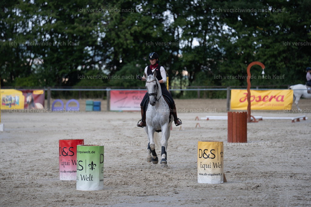 WS_SP_63_SinaFilmArt_IN08330 | working equitationturnier fotograf videograf stoibphotography marixx film working equitation deutschland reitsport turnierfotografie eventfotografie equestrian events