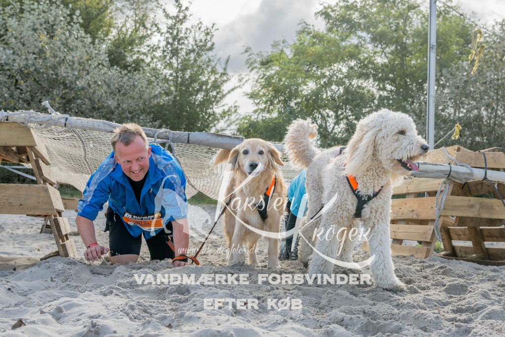 1245_ZZ93231 | kk-dogfotos