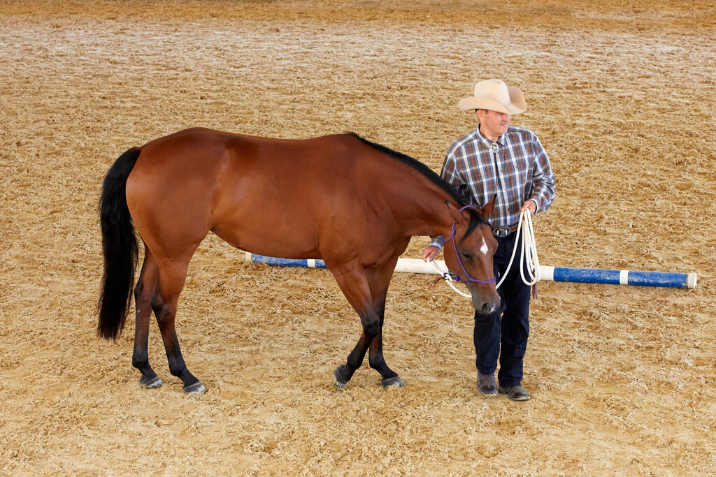 2020_07_19 Schweizersbild 132 | Peter Fridle Fotografie - Realisiert mit Pictrs.com