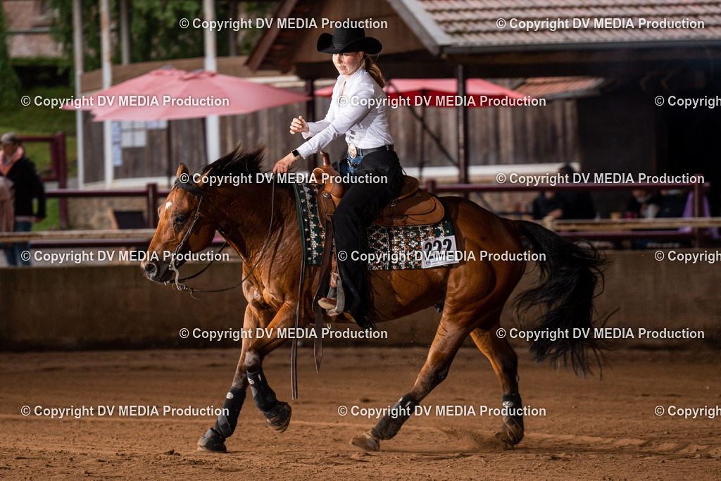 Erbach Tag 2-1051 | dv-media-shop - Realisiert mit Pictrs.com