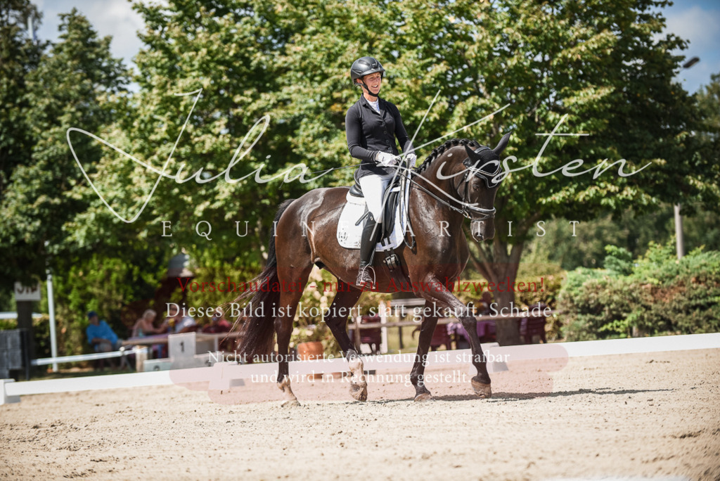 DSC_9077 | Pferde- und Turnierfotografie in Westsachsen. Pferdeportraits, Auftragszeichnungen und intuitive Kunst.