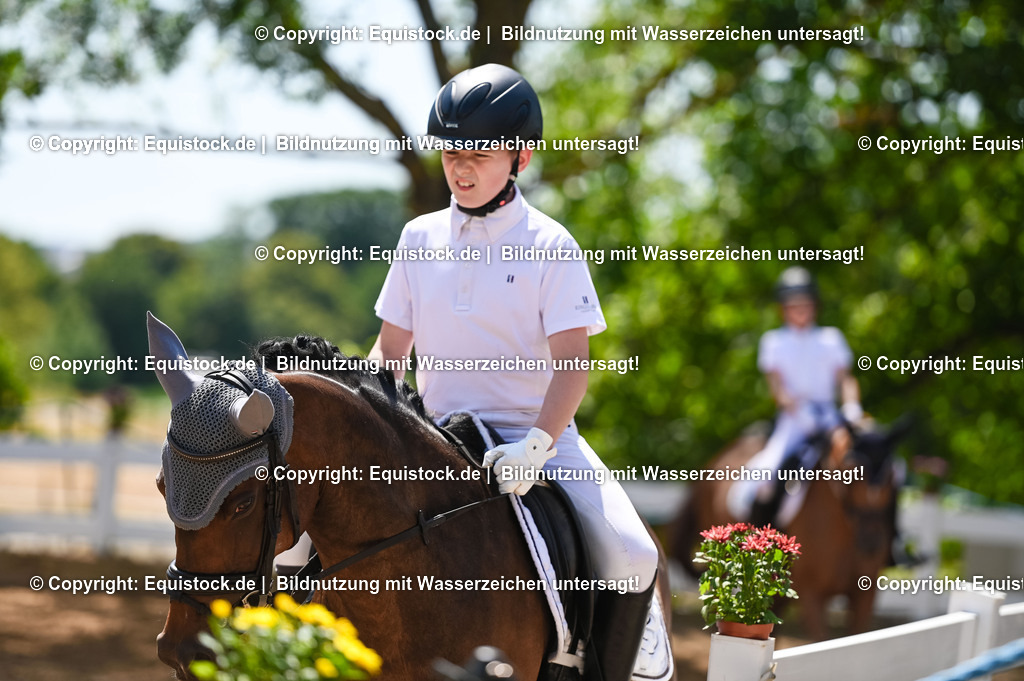 20230715_09_Dressur-WB_0371 | equistock