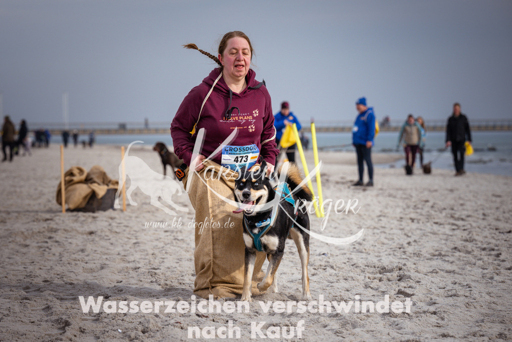 1243_ZZ95254 | kk-dogfotos