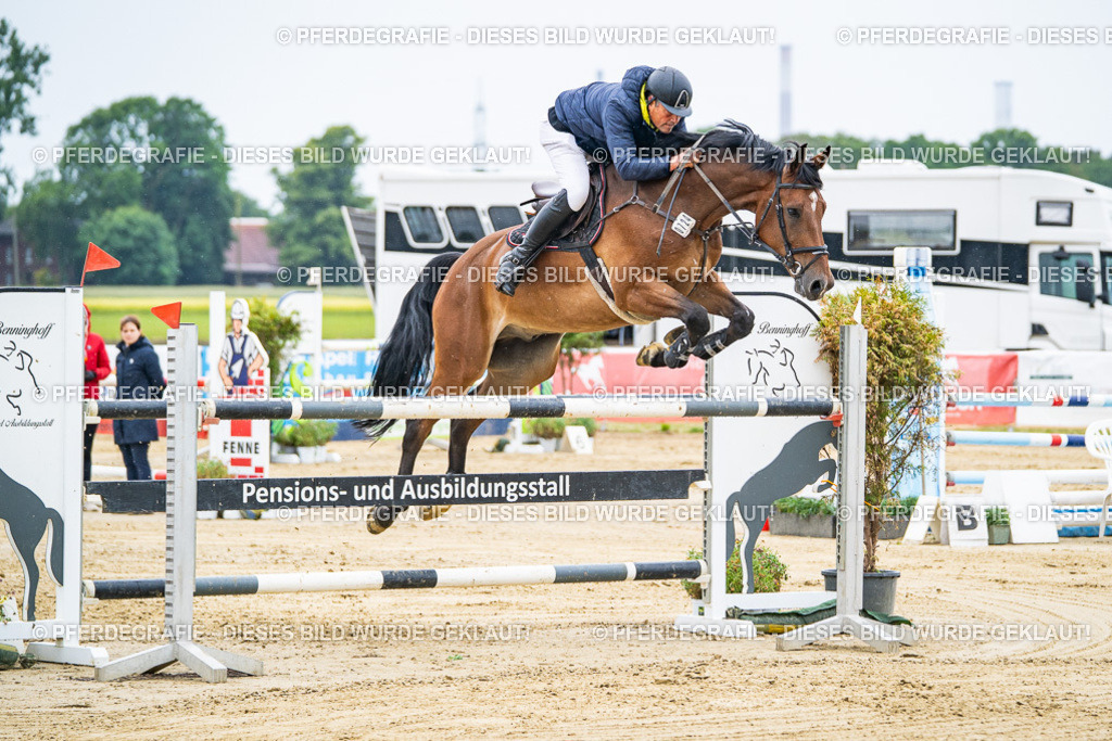 DSC08982 | Pferdegrafie