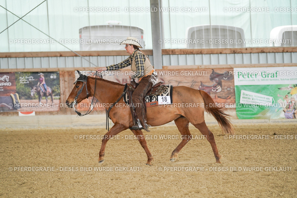 DSC03153 | Pferdegrafie