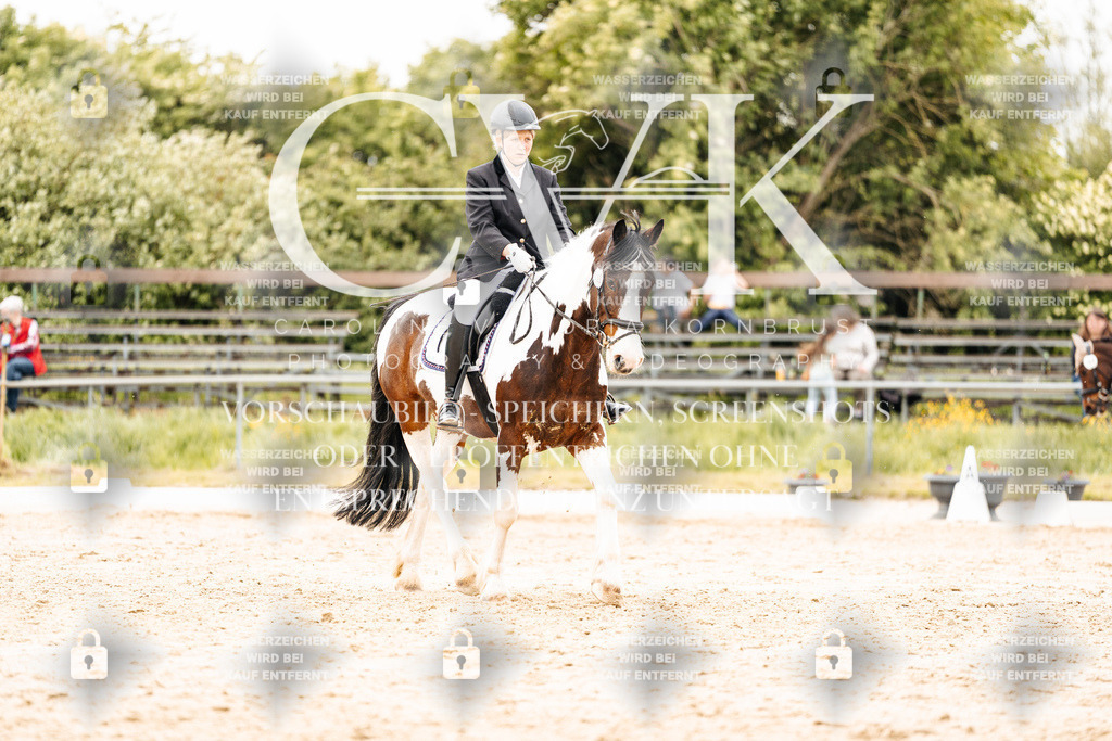CK903507 | Turnierfotografie Pferdefotografie Trier Rheinland-Pfalz Pferdesport Reitsport Tierfotografie Sportfotografie Pferdevideo Pferdevideografie Equestrianvideography equestrianphotography  - Realisiert mit Pictrs.com