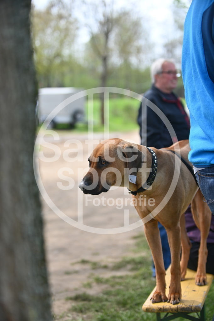 DSC_2497 | sattelsport - Realisiert mit Pictrs.com