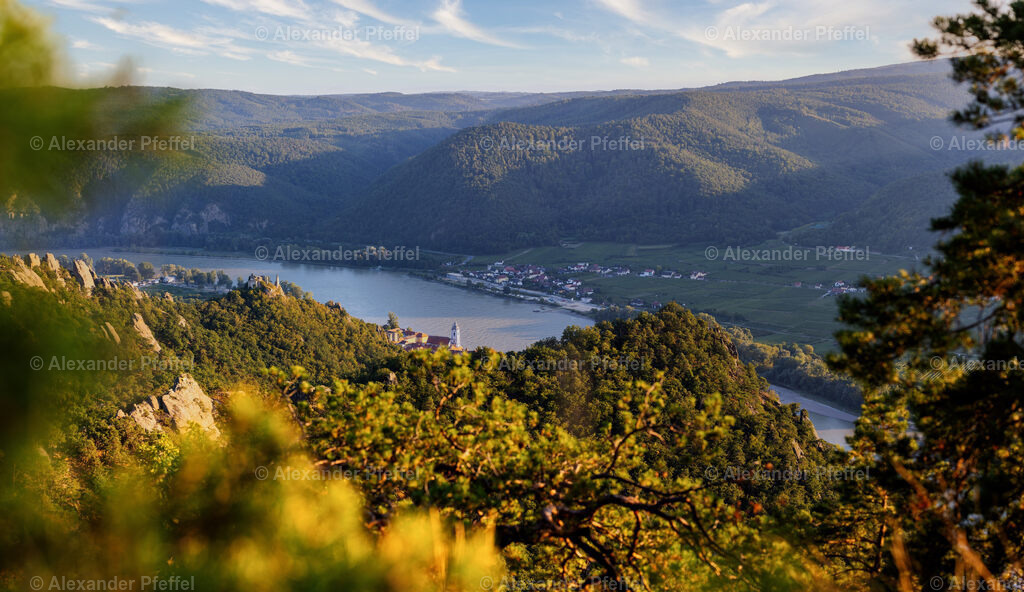 foto_c_pfeffel-partner-0011-R5_10797-Pano-Bearbeitet | alexander-pfeffel - Realisiert mit Pictrs.com