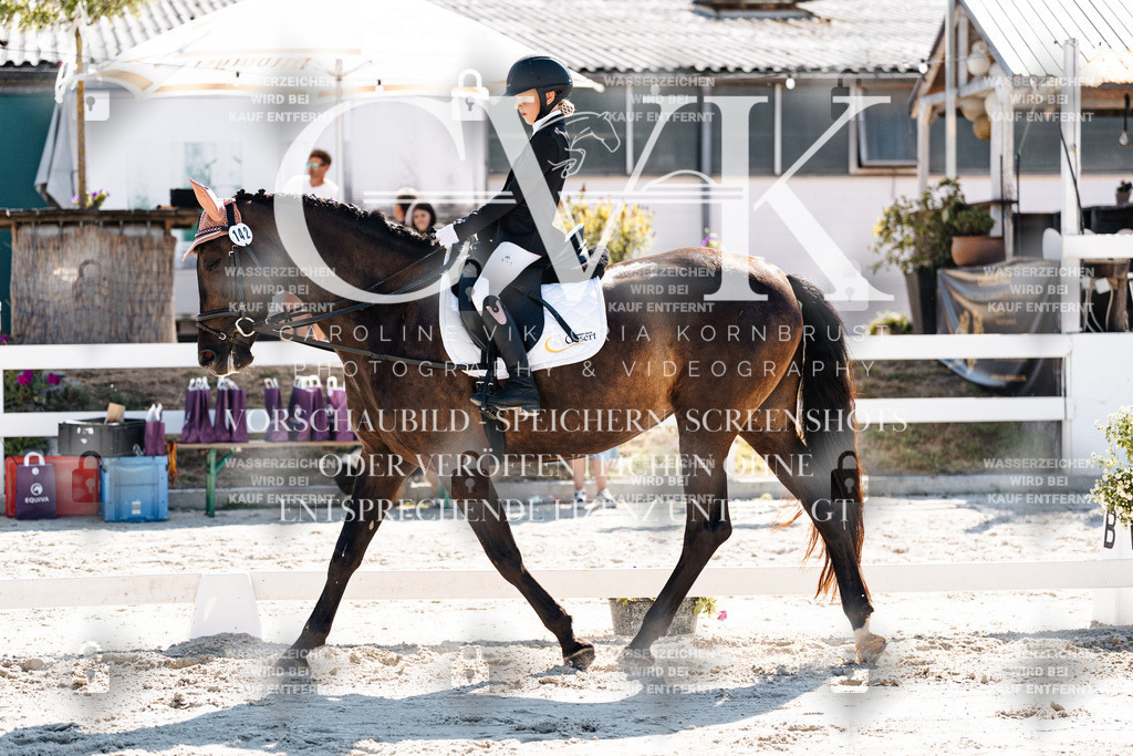CK903021 | Turnierfotografie Pferdefotografie Trier Rheinland-Pfalz Pferdesport Reitsport Tierfotografie Sportfotografie Pferdevideo Pferdevideografie Equestrianvideography equestrianphotography  - Realisiert mit Pictrs.com