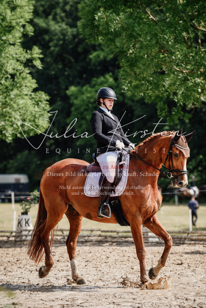 DSC_0266 | Pferde- und Turnierfotografie in Westsachsen. Pferdeportraits, Auftragszeichnungen und intuitive Kunst.