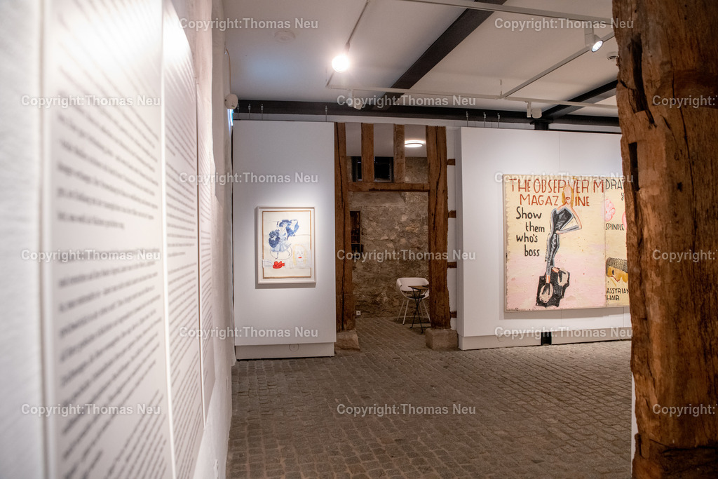 DSC_0427 | Museum der Stadt Bensheim, Finissage der Ausstellung "Rosa Loy, guest Rose Wylie - Doubletten" - 