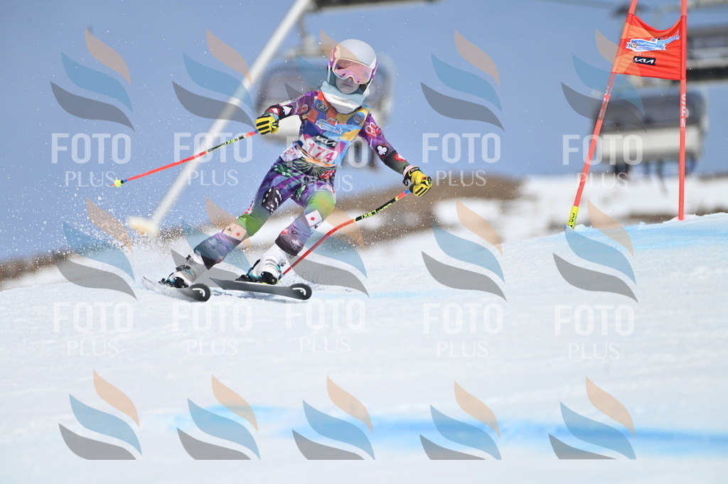 BGV_0501 | holidayphoto