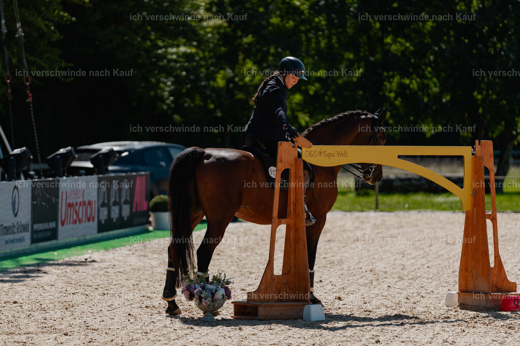 Nadine22_FHC2025-74 | working equitationturnier fotograf videograf stoibphotography marixx film working equitation deutschland reitsport turnierfotografie eventfotografie equestrian events