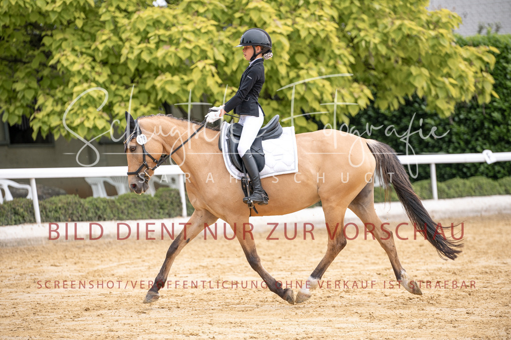 Schugtsche-Aluta25-40.DressurprfA_-343 | Schugtsche Fotografie - Realisiert mit Pictrs.com