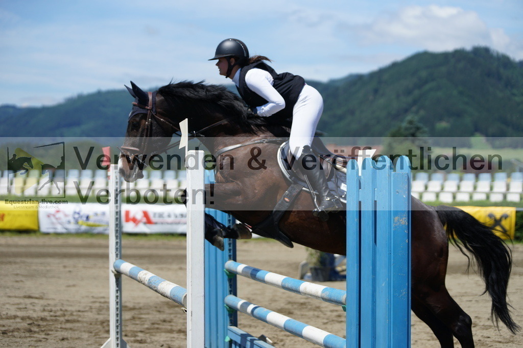 DSC06123 | equestrian-live-com