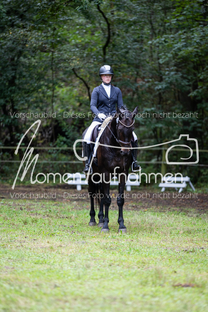 HB-A-Dressur-110 | MomenTaufnahmen Pferdesportfotos
