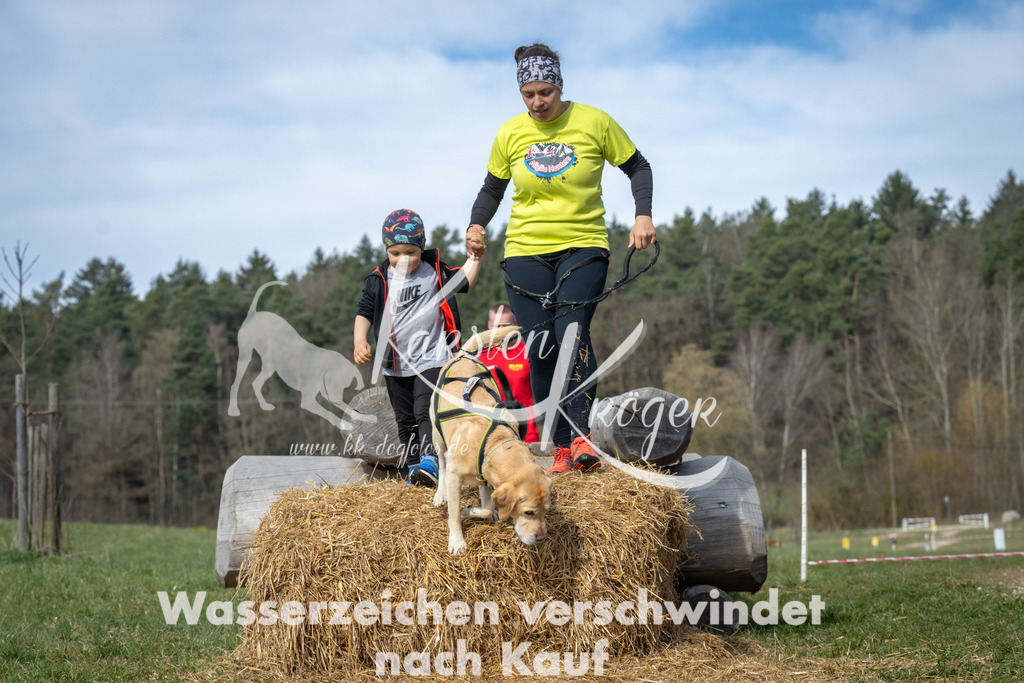 1036_ZZ93042 | kk-dogfotos